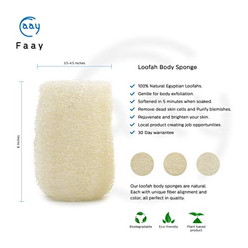 FAAY 4 Pcs Premium Natural Exfoliating Loofah Sponge: 6" Eco-friendly Unbleached Luffa Body Scrubber Rejuvenating Your Skin for Men and Women. Paraben Free Bath Sponge, Shower Loofah
