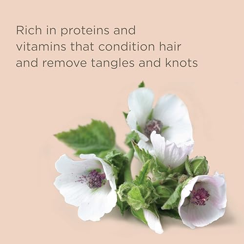 Hairitage Color Check Moisturizing Shampoo and Conditioner Set, UV Protection for Color Treated Hair, Prevent Color Washout, Fading, 13oz each (26oz total)