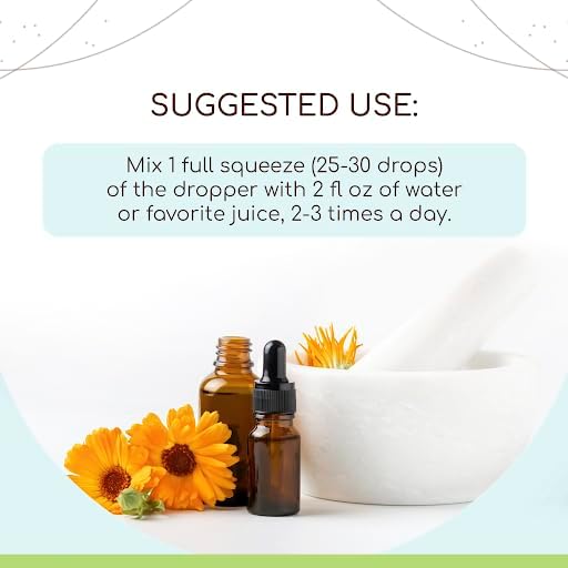 Ginger B120 USDA Organic Tincture | Alcohol-Free Extract, High-Potency Herbal Drops | Certified Organic Ginger (Zingiber officinale) Dried Root (4 oz)