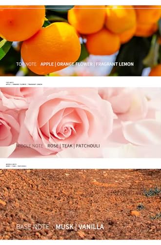 Men's Perfume, 55ml 1.86 fl oz, Black Glass Bottle Eau de Parfum