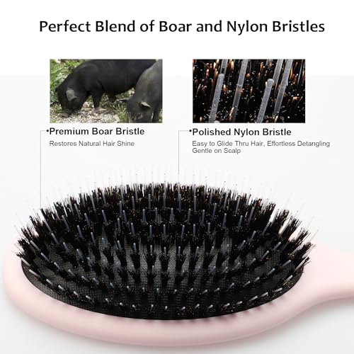 Glidease Matte Boar Bristle Hair Brush with Nylon Refined Smooth Bristle for Women, Men, and Kids - Effortless Detangler Hair Brush Ideal for Thick, Thin, Fine All Hair (Pink)