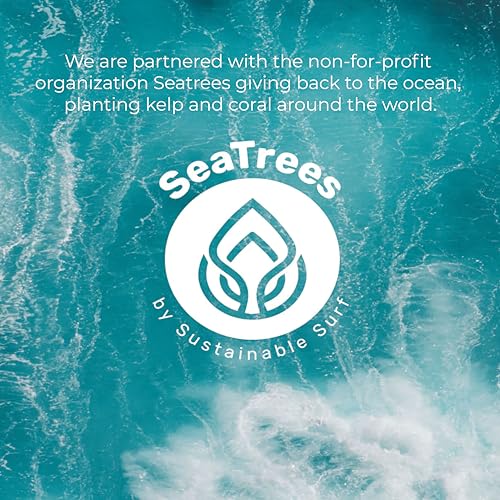 Sea El Castor Lash & Brow Serum Organic Castor Oil Rosemary Oil & Black Seed Oil Hair Conditioner - Eyelashes & Eyebrow Thickening & Growth Essentials for Women & Men - 1 fl oz Bottle