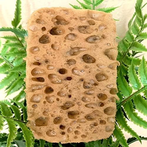 Michelle's Melting Pot Foam Bath Sponge Shower Sponge 3 Count (Tan Exfoliating)