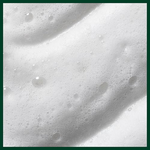 Aveda Nutriplenish Styling Treatment Foam | Soft Hold Styling Foam for Medium to Thick Hair | Hydrates and Nourishes | 94% Naturally Derived*, 6.7 Fl Oz