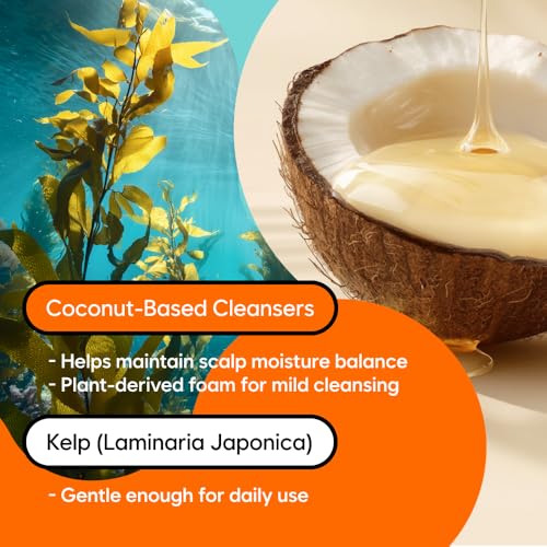 Conditioning Kelp Shampoo 16.9 fl.oz / 500ml, Balancing & Soothing Cleanser with Laminaria Japonica & Mung Bean, For Sensitive, Itchy Scalp & Dry Hair, Sulfate-Free, Korean Haircare