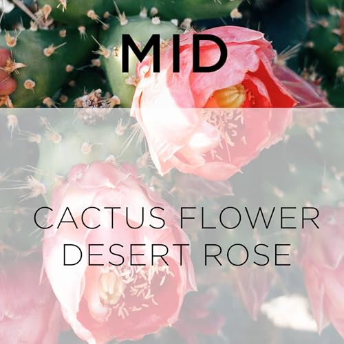 Pink Aura Eau de Parfum 3.4 fl. oz. for Her, by Forever 21