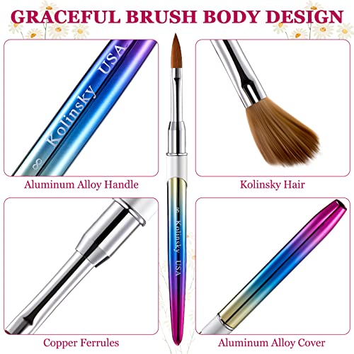 4 Pieces Kolinsky Acrylic Nail Brush Kolinsky Hair Bristles Round Shaped Handle Acrylic Brush Nail Brushes for Acrylic Application Nail Art Brush Nail Manicure Tool Size 6, 8, 10, 12