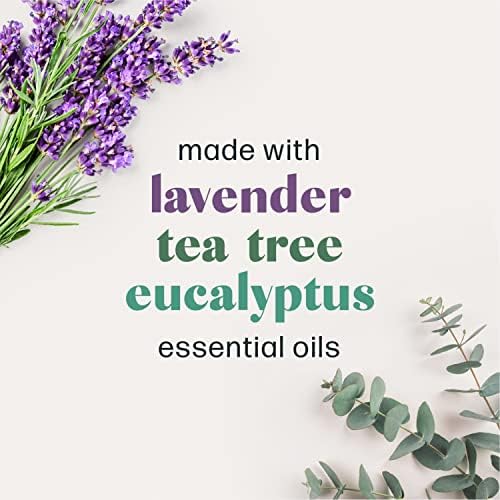 Shower Steamers - 15 Count Shower Bomb - Spa Aromatherapy Right in Your Home - Relax and Unwind - Variety Pack (Lavender, Eucalyptus & Tea Tree)