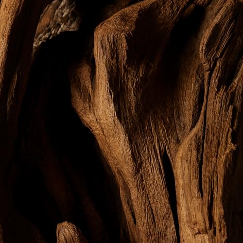 RALPH LAUREN FRAGRANCES Polo Cologne Intense - Eau de Parfum - Men's Cologne - Citrus & Woody - With Grapefruit, Sage, and Patchouli - 4.2 Fl Oz