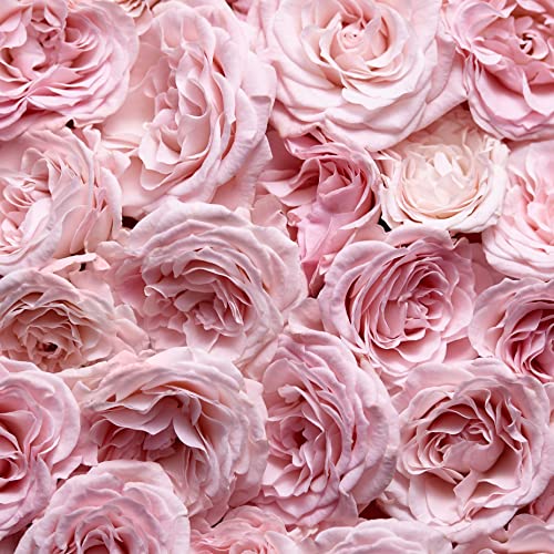 Escada Especially Eau De Parfum – Women's Floral Perfume – With Notes of Rose Petals & Pear – Long Lasting Fragrance