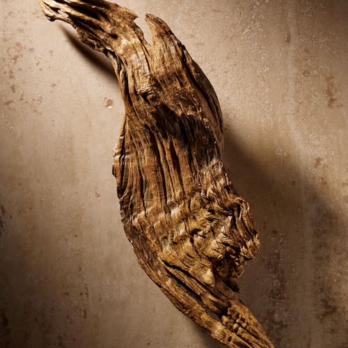 RALPH LAUREN FRAGRANCES Polo Cologne Intense - Eau de Parfum - Men's Cologne - Citrus & Woody - With Grapefruit, Sage, and Patchouli - 4.2 Fl Oz