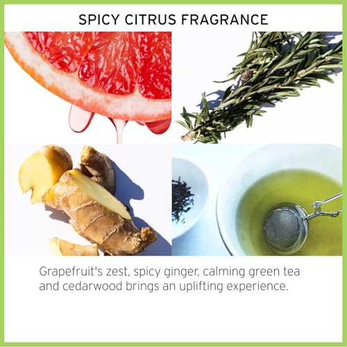 Fekkai The Original Brilliant Glossing Styling Creme - 3.4 oz - Boosts Shine, Smoothes Frizz & Defines Curls with Olive Oil - Free of Sulfates, Parabens, Phthalates - Vegan, Cruelty-Free