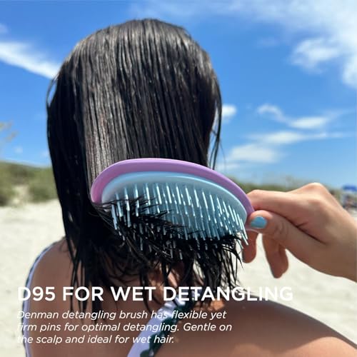 Denman Wet Detangler Shower Hairbrush for Detangling All Hair Types for Women, Kids and Men - Wet Hairbrush for Everyone – D95