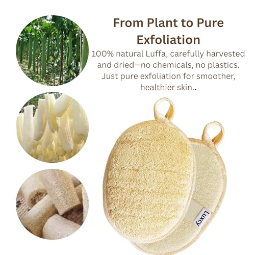 Natural Loofah Exfoliating Body Scrubber, Dual-Sided Shower Loofah Sponge, Bath Shower Loofah Spong for Men and Women, Face and Body Bath Scrubber- 3 Count (1 Pack)