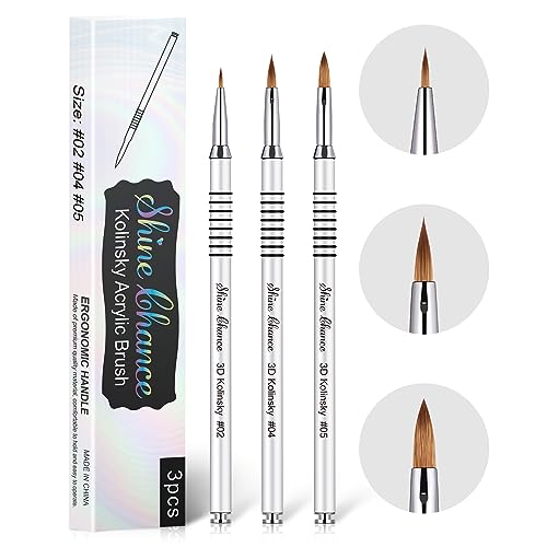 3Pcs 3D Nail Brushes Set Size 2 4 5, Kolinsky Hair Acrylic Flower Nail Art Brush, Art Design & Polish Mistake Cleaning Manicure Tools for Women Acrylic Application, Silver