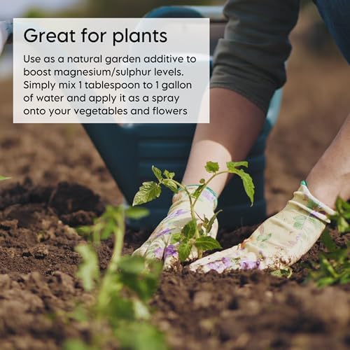 Epsom Bath Salt, Magnesium Sulfate USP, Unscented, Fine Grain, 50 Pound Bag (Packaging May Vary)