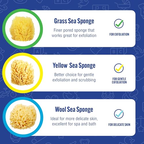 Baby Buddy Natural Wool Sea Sponge, Newborn Bath Time Essential, Ultra Soft for Delicate Skin, Hypoallergenic and Biodegradable, 1 Pack