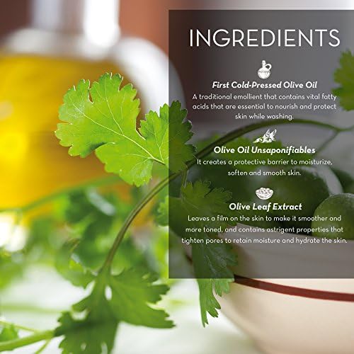 Fruits & Passion [Cucina] - Coriander & Olive Tree Scented Hand Cream for Dry Cracked Skin, Hand Cream for Dry and Anti Aging Olive Oil Natural Hand Cream (5.07 fl oz)