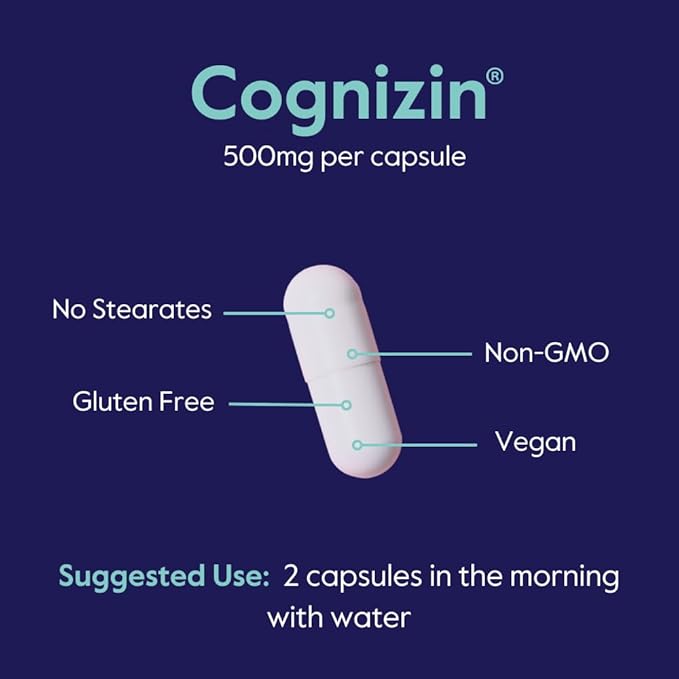BESTVITE Cognizin 500mg (60 Vegetarian Capsules) - Clinically Studied Premium Choline Nootropic - No Stearates - Vegan - Non GMO - Gluten Free - Citicoline - Brain Supplements for Memory and Focus