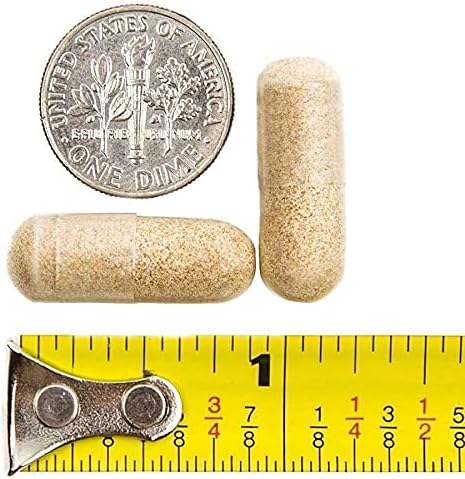 BariatricPal 90-Day Bariatric Vitamin Bundle (Multivitamin ONE 1 per Day! Capsule with 45mg Iron and Calcium Citrate Soft Chews 500mg with Probiotics - Wild Grape)