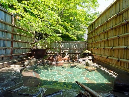 Onsen Hot Spring Bath Salt 45 Packets Assortments YAKUSEN, ROTENYU & ONSENKYO 1.05oz x 15 Packets Each Box Onesen Bath Powder