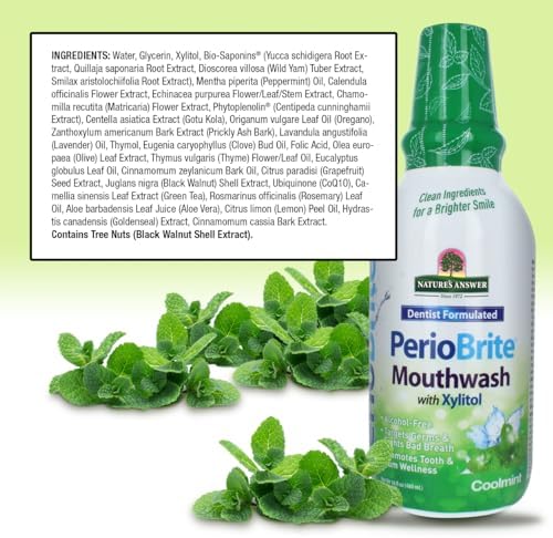 Nature's Answer PerioWash Mouthwash Alcohol-Free Cool Mint - 16 fl oz | Fluoride Free | Natural Breath Freshener | Stain Remover | Natural Teeth Whitener