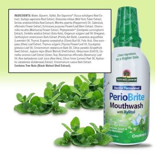 Nature's Answer PerioWash Mouthwash Alcohol-Free Cool Mint - 16 fl oz | Fluoride Free | Natural Breath Freshener | Stain Remover | Natural Teeth Whitener (Pack of 1)