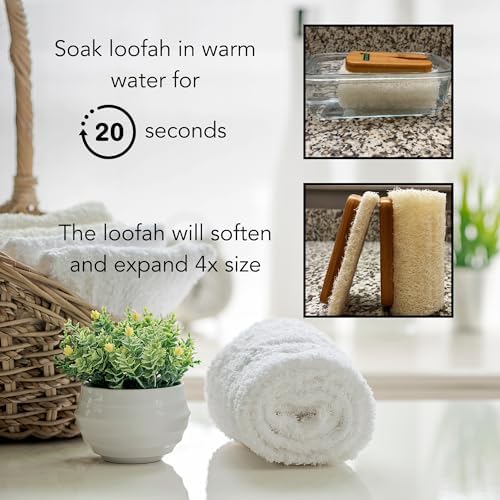 Natural Loofah Shower Scrubber w/Removable Bamboo Handle, Gentle Exfoliation, Long-Ergonomic Handle w/Hemp Rope Grip, Extra Loofah Included for Close Washing, Plastic-Free, Eco-Friendly
