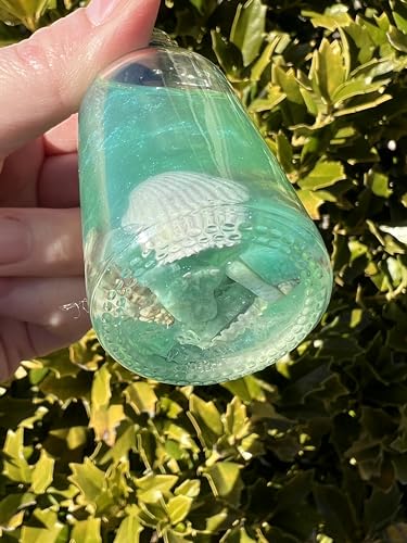 Mermaid Magick Ritual Oil | Body Perfume Candle Spells Sea Witch Beach Water Ocean Goddess Amphirtite Aphrodite Witchy Gift Crystal Shells Intention Offerings