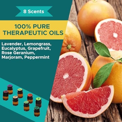 DIY Gift Kits Bath Bomb Making Kit for Kids, Make 12 All Natural Bath Bombs at Home, Made in The USA, 100% Pure, 7 Essential Oils, Epsom Salts, Cupcake Mold Liners, Recipes, Gift Box Included