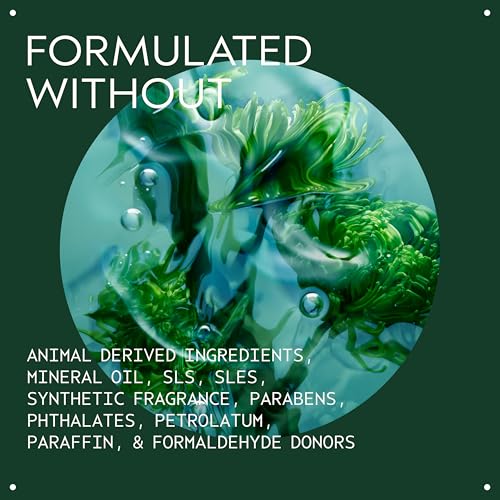 Aveda Men Pure-Formance Pomade | Strong Hold Hair Pomade | Non-Greasy Formula | Water-Based | Short to Medium-Length Hair, 2.5 Ounce