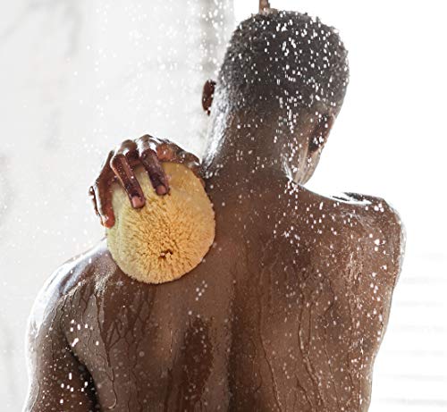 Real Sea Sponge for Men - Extra Large 6"-7", Totally Natural, Kind on Skin for an Invigorating Shower, Supplied in Breathable Mesh Bag. Great for The Gym, Grooming, Bath & Body Gift by Constantia Man