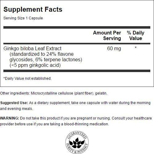 Swanson Ginkgo Biloba Extract 24% 60 Milligrams 240 Capsules