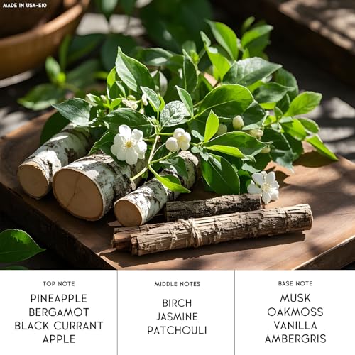 Pheromone Cologne for Men &Women, Inspired by Cred Aven/tus, A Rich, Masculine Blend of Pineapple, Birch, and Musk. Pheromones Perfumes for Women &Men Travel Size Perfume 0.6fl.oz (E10)