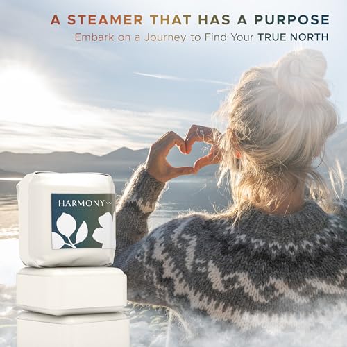 Shower Steamers for Women: Aromatherapy Bombs, Vapor Tablets, Individually Wrapped