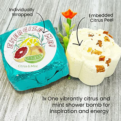 Variety Shower Bomb Collection (5pk) – Essential Oil Aromatherapy Shower Tablets for Stress, Relaxation, Mood Lift, Energy and Open Airways | Secret Santa Christmas Gift Idea (No Bomb Bag)