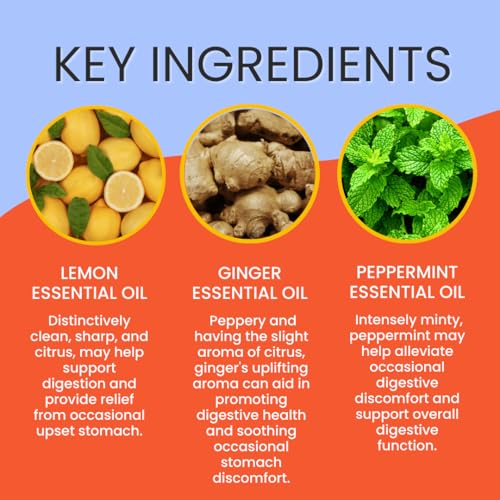 Stripped Bath & Body Queaze Eaze Essential Oil Roll On | Stomach Support Essential Oil Blend with Ginger, Lemon, Peppermint, and Fennel – Skin-Friendly Carrier Oils | Stocking Stuffer Gift