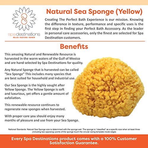 Natural Sea Sponge 6-7" by Spa Destinations Creating The at-Home Spa Experience