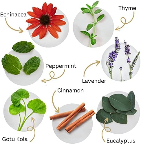 Dental Herb Company Tooth & Gums Tonic Oral Rinse – *Fresh New Look – Same Trusted Formula* Natural Mouthwash with Essential Oils & Herbs for Gum Health, Bad Breath & Irritation 18 oz.