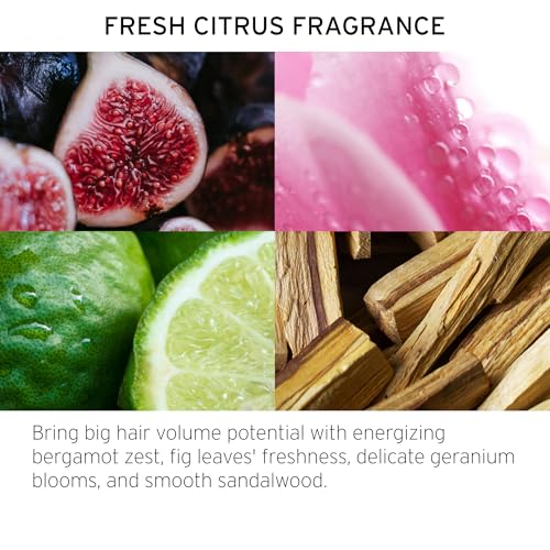 Fekkai Full Blown Volume Texturizer - 5.5 oz - Dry Texturizing Spray - Delivers 2X the Volume for Up to 8 Hours - Free of Sulfates, Parabens, Phthalates - Vegan, Cruelty-Free