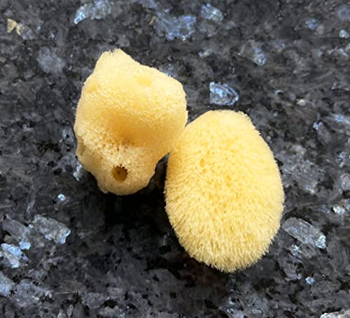 Real Natural Sea Sponges Multipack - 5pc Spa Gift Set in Premium Bag, Kind on Skin, for Bath Shower Facial Cleansing, Pamper Moms Brides Girlfriends & Teens (5 Pack Standard Packaging)