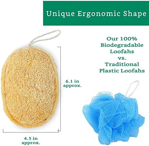 Natural Loofah Exfoliating Sponge (3 Pack) - Organic Body Scrubber - Biodegradable Shower Luffa