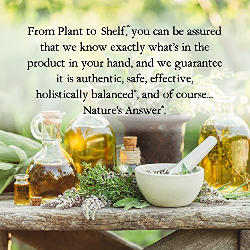 Nature's Answer PerioBrite Toothpaste, Cool Mint, 4-Ounce (Pack of 2) Fluoride Free with CoQ10 & Folic Acid | Whitens Teeth | Freshens Breath | Removes Plaque | Minimizes Dry Mouth