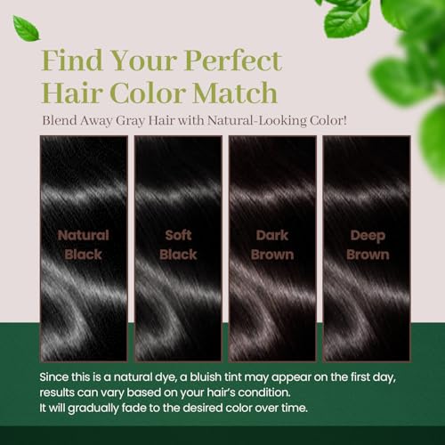 DONGSUNG Herb Speedy Color Cream (Soft Black, 1 Pack), PPD-Free Ammonia-Free Vegan Hair Dye with Sun Protection, Odorless, Gentle for Sensitive Scalp, No Eye or Scalp Irritation