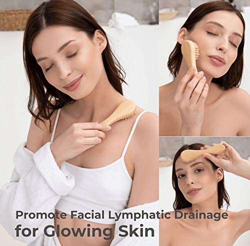 Dry Brushing Body Brush Set – Natural Bristle Spa Exfoliator Kit with Face Cleansing Brush, Long Dry Brushing Body Brush for Lymphatic Drainage & Massaging Cellulite Brush for Smooth, Radiant Skin