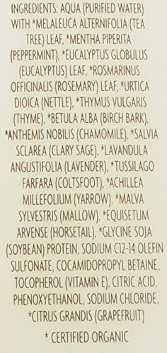 Trader Joe's Tea Tree Tingle Shampoo with Peppermint, Tea Tree and Eucalyptus Botanicals, 16-Ounces