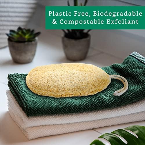 Natural Loofah Exfoliating Sponge (3 Pack) - Organic Body Scrubber - Biodegradable Shower Luffa
