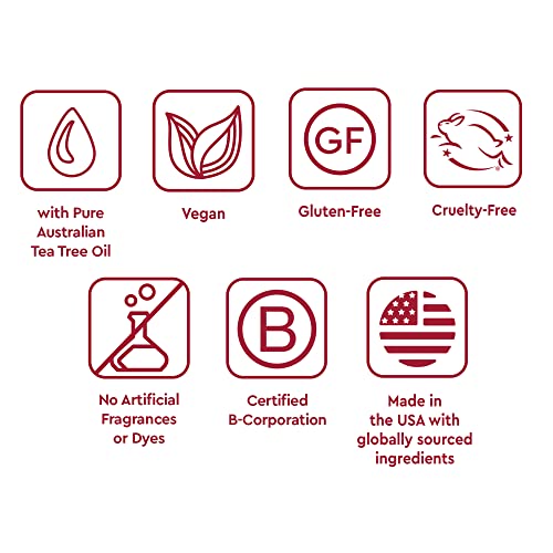 Desert Essence Tea Tree Oil Mouthwash - 16 Fl Ounce - Pack of 6 - Natural Refreshing - Spearmint Flavor - Helps Reduce Plaque Buildup - Refreshes Mouth & Gums - Vitamin C - Oral Care - No Parabens