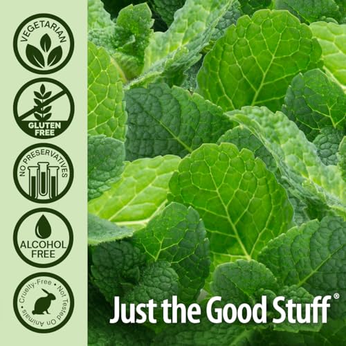 Nature's Answer PerioWash Mouthwash Alcohol-Free Cool Mint - 16 fl oz | Fluoride Free | Natural Breath Freshener | Stain Remover | Natural Teeth Whitener (Pack of 1)