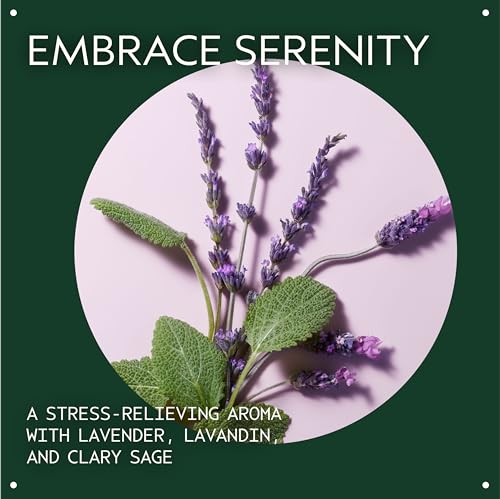 Aveda Stress-Fix Soaking Salts | Stress-Relieving Bath Salts | with Aroma of Lavender, Lavandin, Clary Sage, 16 Ounce